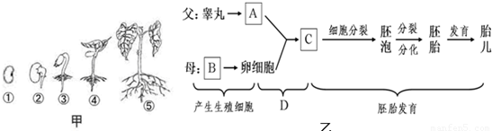 澳门沙金在线平台