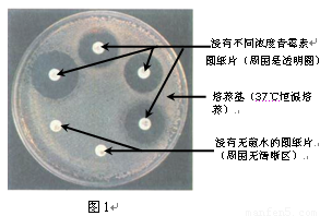 澳门沙金在线平台